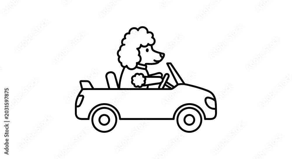 Fototapeta premium Cute poodle dog driving a convertible car, cartoon style, black and white outline