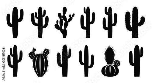 Bild auf Leinwand Collection of various cactus silhouettes against a white background silhouette
