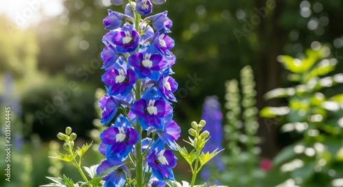 Vibrant Blue Delphinium Flowers in a Lush Garden Setting.