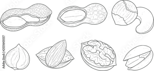 Fotografie A collection of various nuts and legumes illustrated in a detailed black and whi