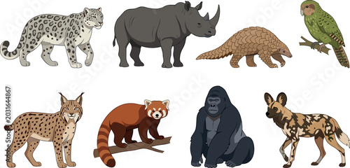 Canvas Print Hand Drawn Endangered Wild Animals Collection Featuring Snow Leopard Rhino Pango