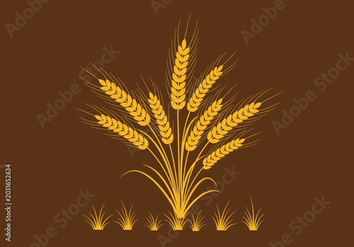 Obraz na płótnie Golden wheat ears on brown background.