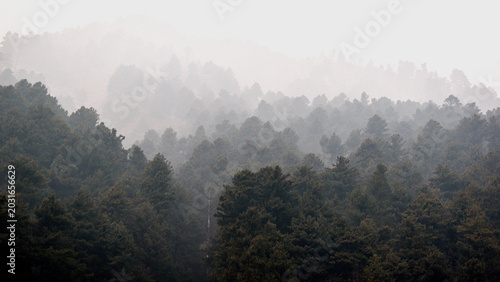 Fotografía mountains in the fog