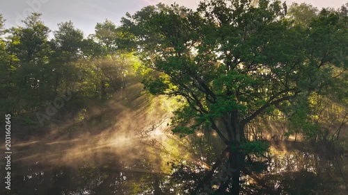 Aerial view of Venekotensee with sun rays piercing through morning mist over the calm lake and lush green trees in Niederkruchten, Nordrhein-Westfalen, Germany.
