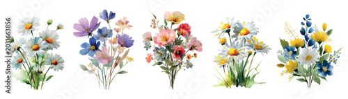 Фотография Watercolor botanical illustration featuring multiple hand painted flower arrange