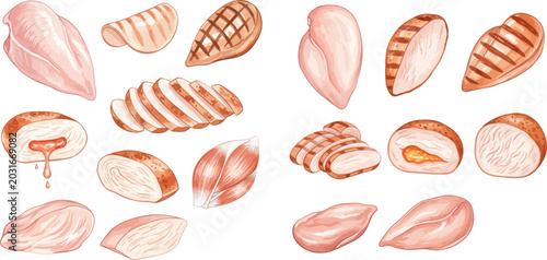 Quadro su tela Collection of raw and cooked chicken meat illustrations, including grilled fillets and sliced poultry