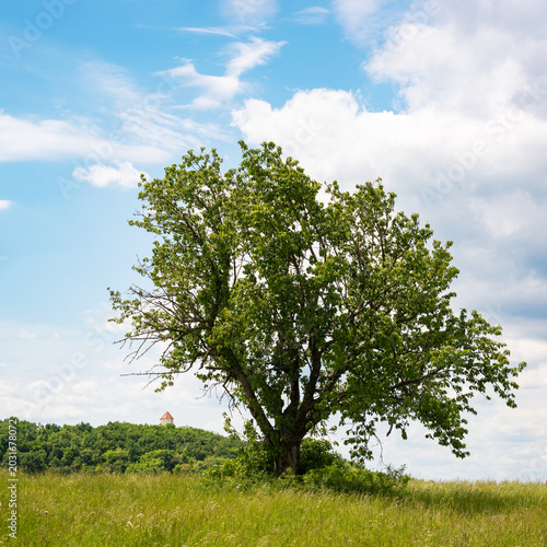 Photos Chapel of St. Barbara at St. Margarethen Burgenland Austria