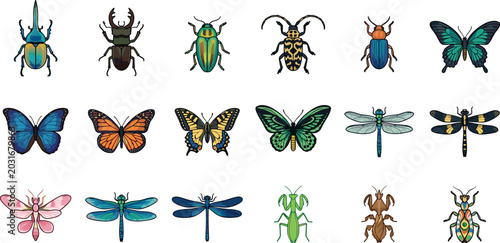 Fényképezés Colorful Insects and Bugs Icon Set with Beetle, Butterfly, Dragonfly, Mantis, An