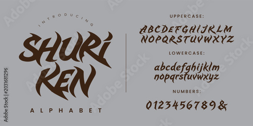 Bild auf Leinwand Shuriken alphabet font decorative spike sharp aggressive brush typeface vector i