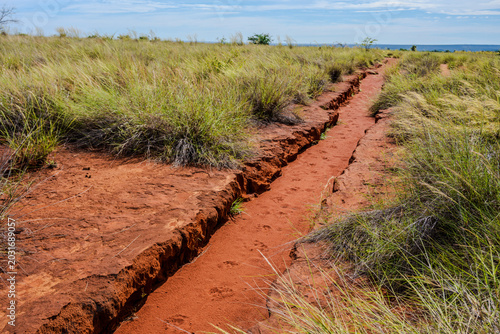 Obraz na plátně Deep gully formed by soil erosion in the savanna landscape of Madagascar