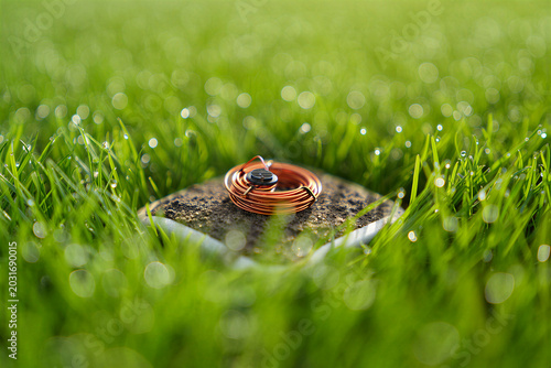 Copper wire coil with a small electronic component resting on a patch of soil