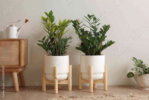 Two potted plants in white pots on wooden stands against neutral background