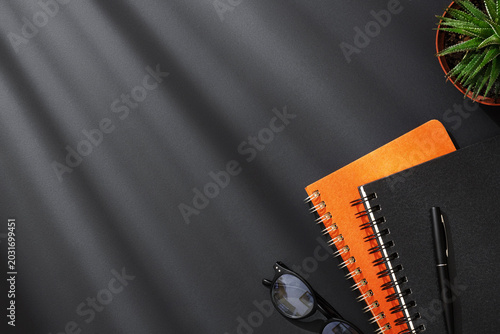 Photos Orange and black spiral notebooks, pen, glasses and succulent plant on dark background with dramatic lighting