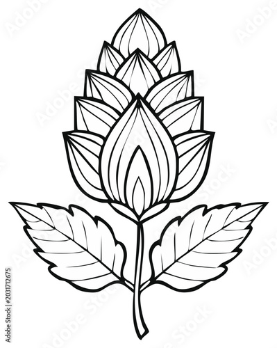 Ink illustration of a stylized hop flower with leaves, representing beer and brewing