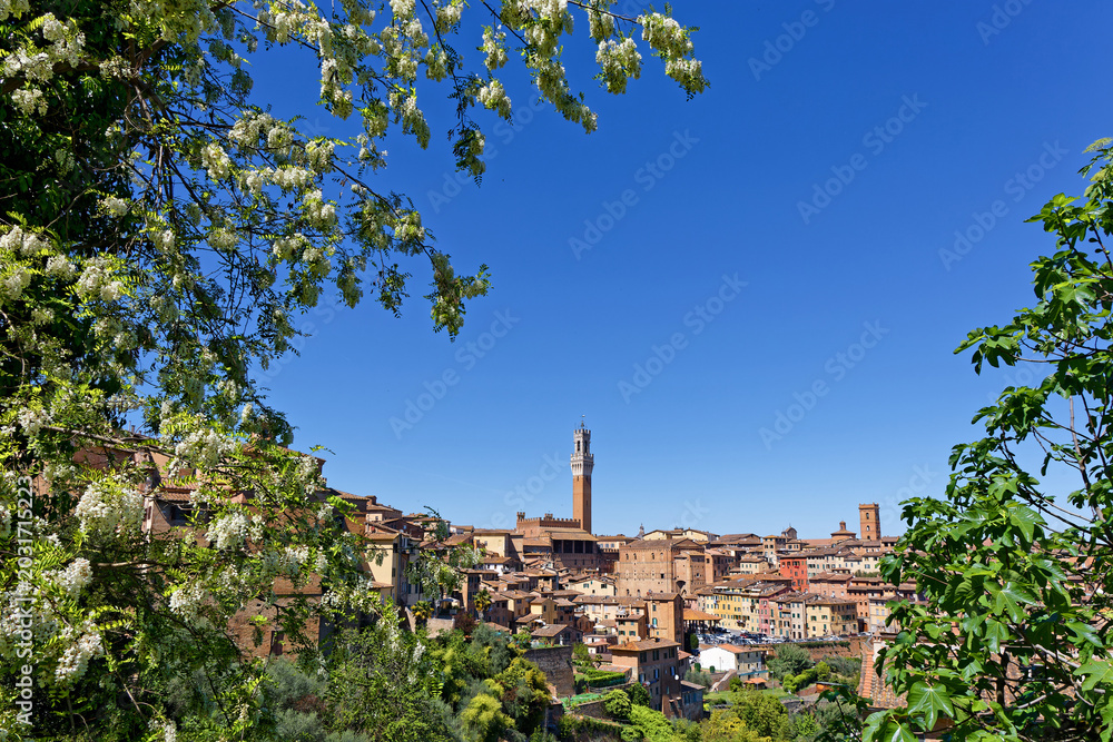Naklejka premium Siena through a frame of leaves. Siena was an important city in medieval Europe, and its historic centre is a UNESCO World Heritage Site