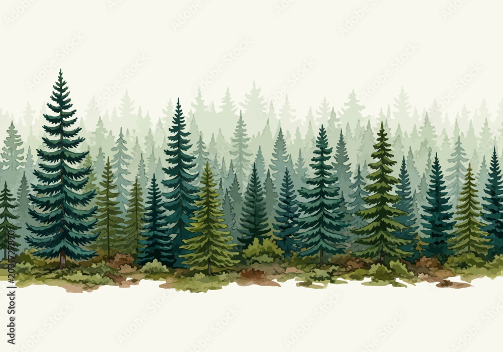Obraz premium Tall green pine trees in forest.