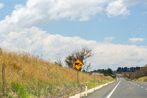 Cattle warning road sign warning animals ahead