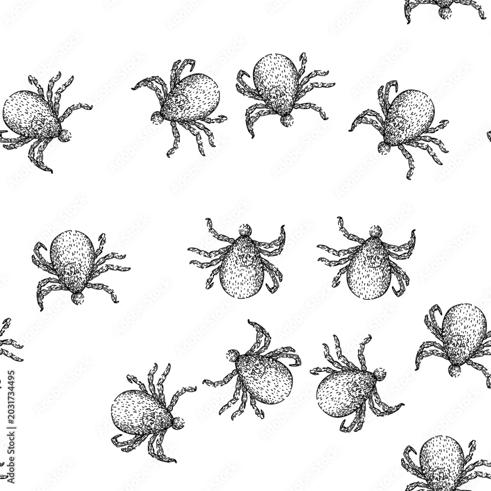 Obraz premium seamless pattern bite tick hand drawn. parasite animal, bed bedbug, forest encephalitis bite tick black sketch illustration