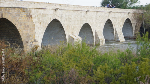 The Historical Bridge in Kesikköprü Village of Kırşehir on the Kızılırmak River and Its Surroundings