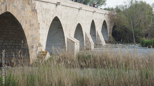 The Historical Bridge in Kesikköprü Village of Kırşehir on the Kızılırmak River and Its Surroundings