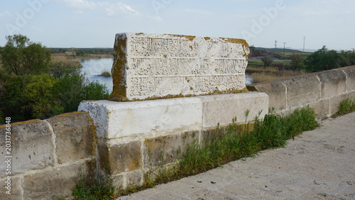 The Historical Bridge in Kesikköprü Village of Kırşehir on the Kızılırmak River and Its Surroundings