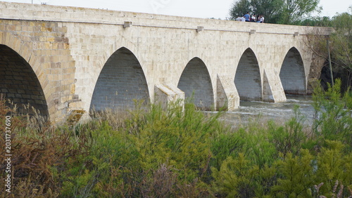 The Historical Bridge in Kesikköprü Village of Kırşehir on the Kızılırmak River and Its Surroundings
