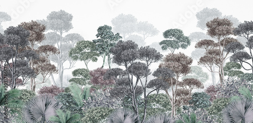 trees and plants