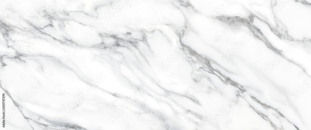 Obraz premium Elegant White Carrara Marble Texture Background