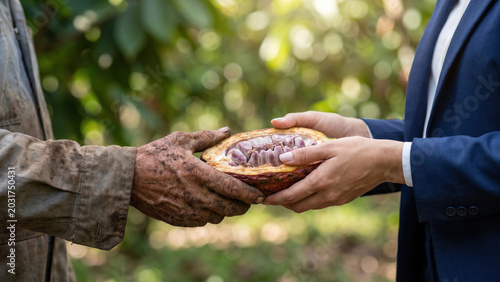 Fair Trade Agreements and Supply Chain for Raw Cocoa in Sustainable Farming Practices
