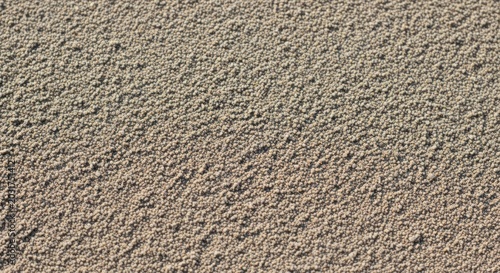 Gray rough textured surface background.