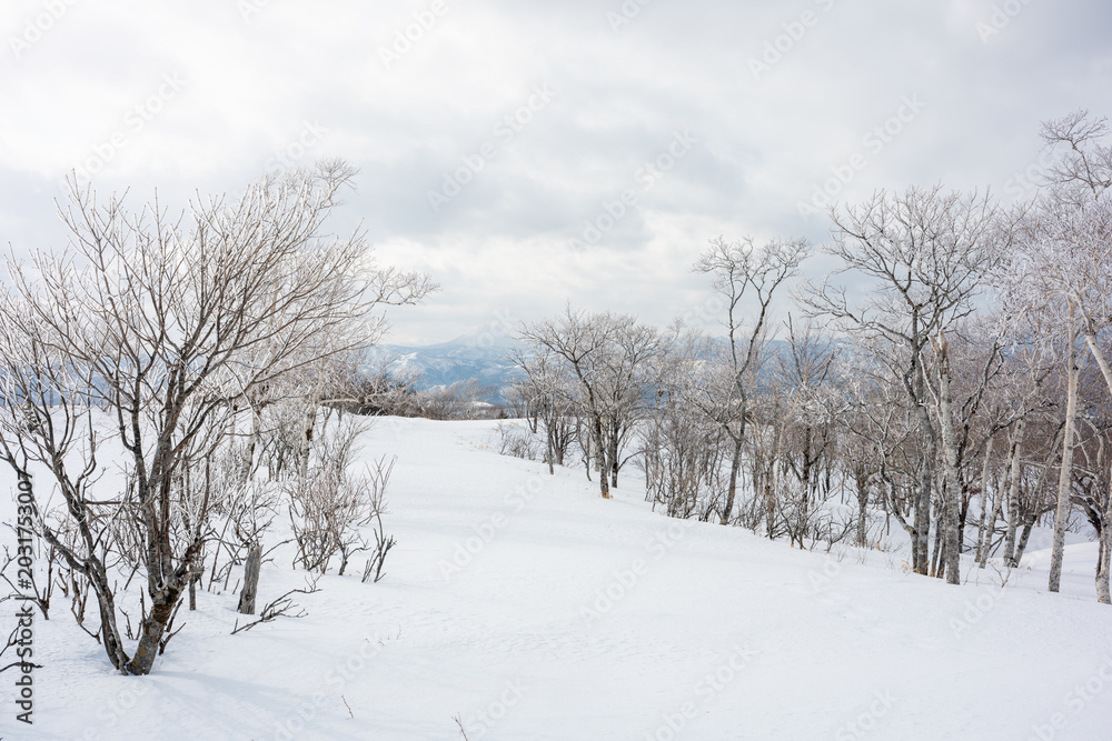 Obraz premium The natural view from the Mashu lake observation desk is covered in snow in winter in Hokkaido.