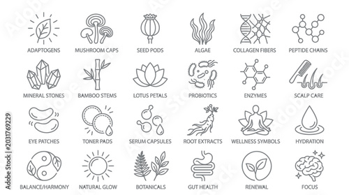 Bild auf Leinwand Collection of Icons Representing Natural Ingredients and Health Concepts for Skincare and Wellness