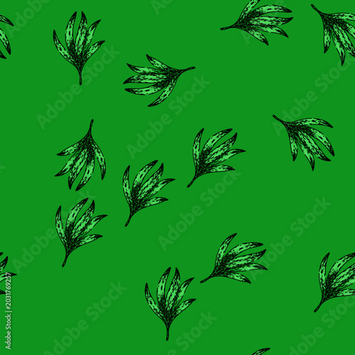 Bild auf Leinwand pattern food tarragon hand drawn