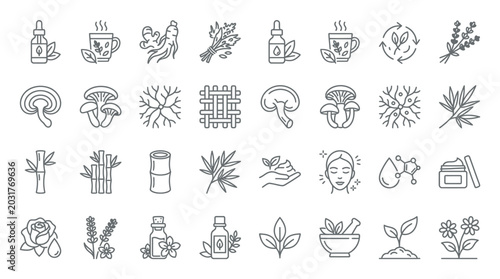 Collection of icons representing natural ingredients and organic products for health and beauty.