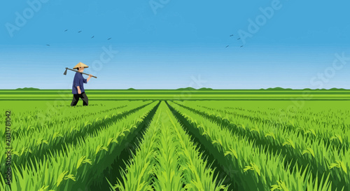 Photos Farmer walking through lush green rice field under blue sky, rural landscape, ag