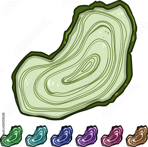 Foto analysis tree rings cartoon