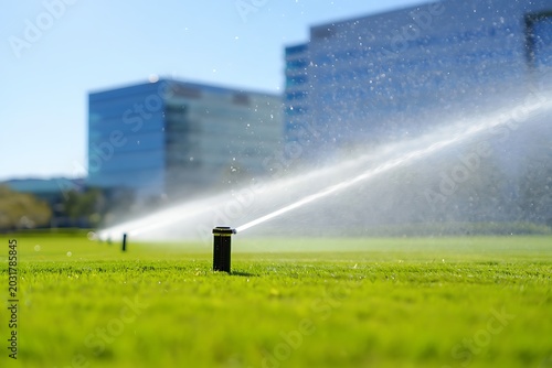 Automatic sprinkler system watering vibrant green lawn near modern office buildings on sunny summer day showcasing urban landscaping, sustainability, irrigation technology, freshness, maintenance.