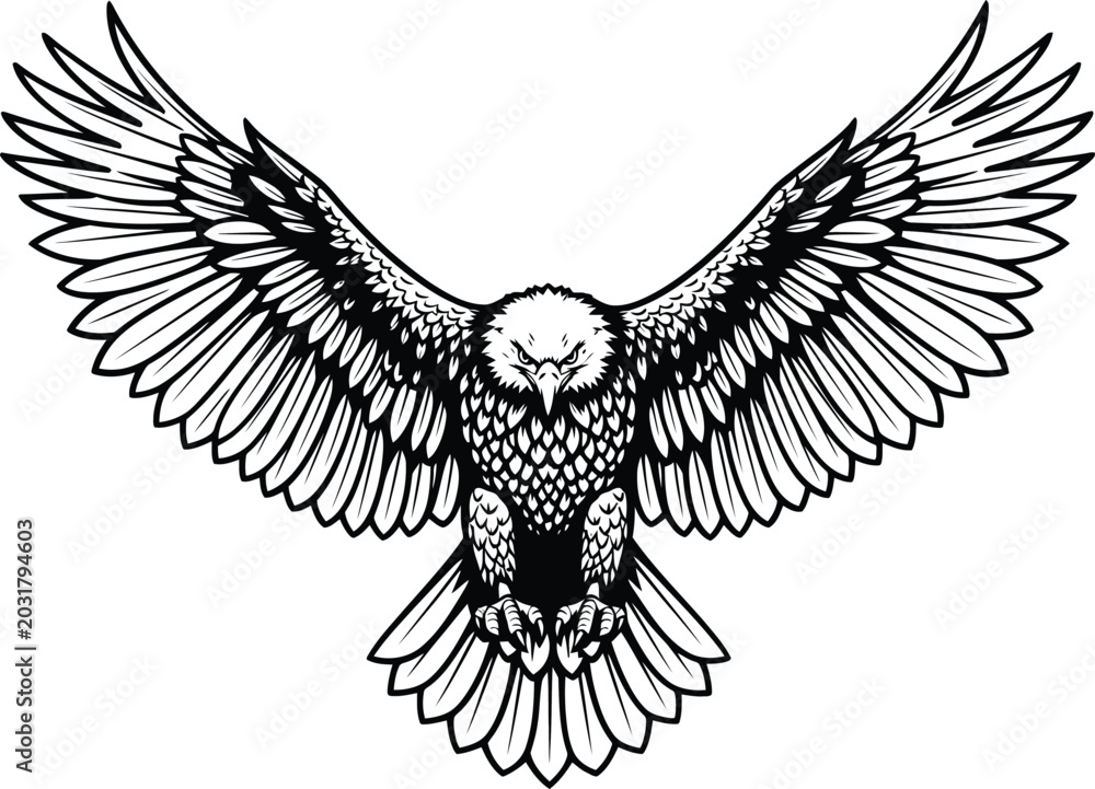 Fototapeta premium Owl in flight with spread wings.