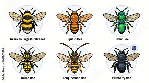 Variety of colorful bees including American Bumblebee, Squash Bee, Sweet Bee, Cuckoo Bee, Long-horned Bee, and Blueberry Bee are illustrated in a collection.