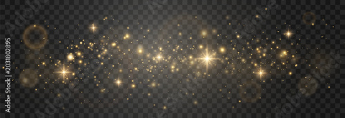 Golden sparkling glitter dust overlay. Magical glowing pollen with bokeh effect on transparent png background. Realistic shine vector set for festive holiday design. Vector png
