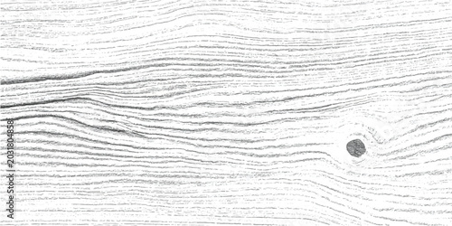 Bilde på lerret Close up of a light wood texture with prominent grain and a single knot wood sli