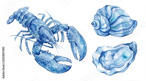 Detailed watercolor painting of a blue lobster with marine shells rendered in style on white background