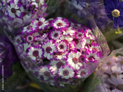 Close-up of purple and white flower bouquet