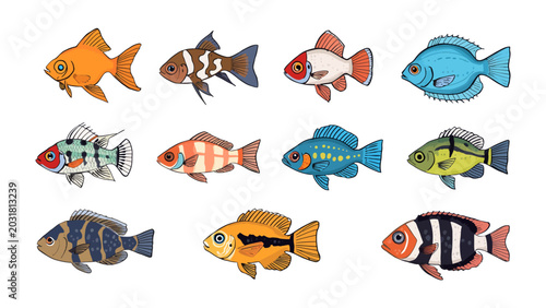Tableau sur toile Aquatic Assortment: A vibrant collection of diverse fish illustrations, showcasing a variety of colors, patterns, and species in an aquatic display