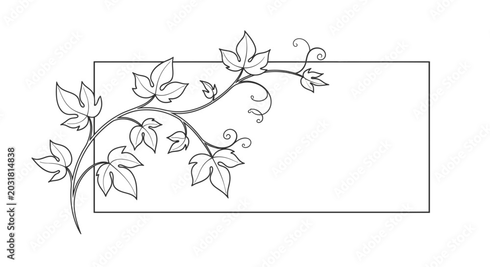 Fototapeta premium Elegant vine border with leaves and curls framing a blank rectangular space for text