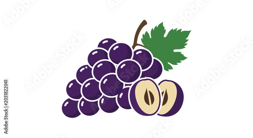 Close up illustration of fresh purple grapes with a green leaf on white