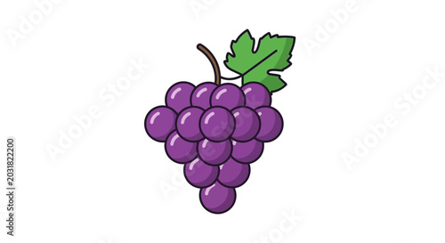 Fresh purple grapes with green leaf isolated on white background vector