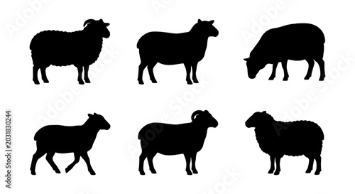 Foto Sheep Silhouettes Vector Set: Farm Animals, Livestock, Rural Icons, Black on Whi