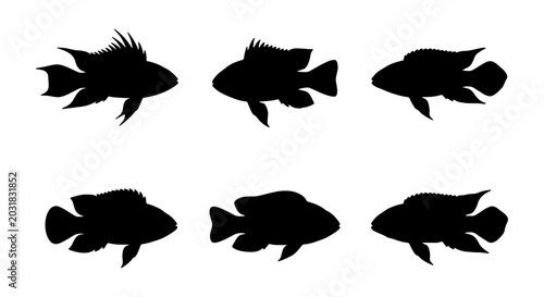 Foto Six Black Fish Silhouettes, Aquatic Life Vector Icons, Marine Animal Shapes