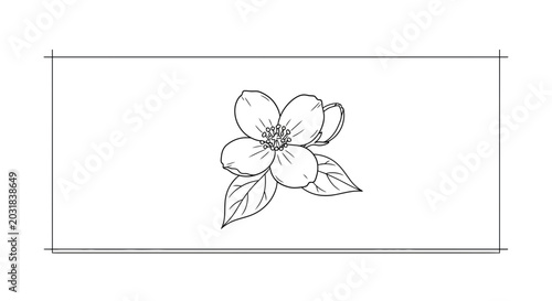 Hand-drawn sketch of a delicate jasmine flower with leaves, isolated on white background.